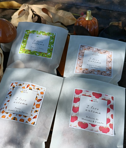 Pack wax melts "I love autumn"