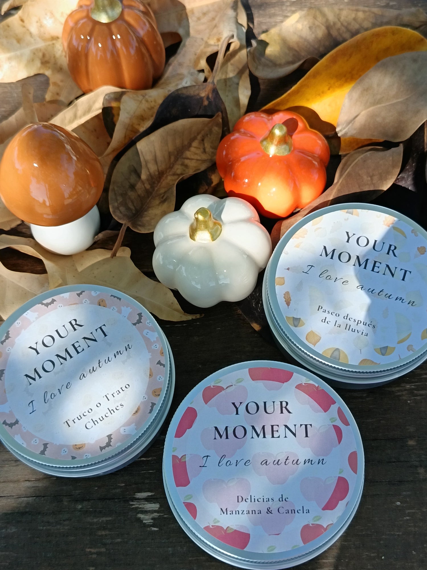 Colección "I love autumn"